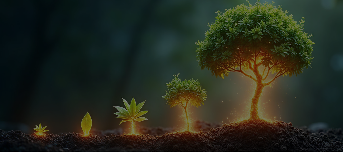 12Monday ecosystem growth visual